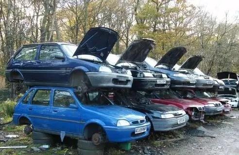 1703986712781516.jpeg c4f8e9451cbc6fb7b52e1a669cc4177e.jpeg